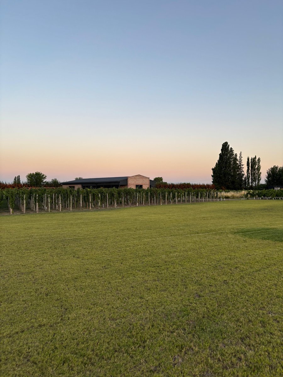 Atardecer en la bodega