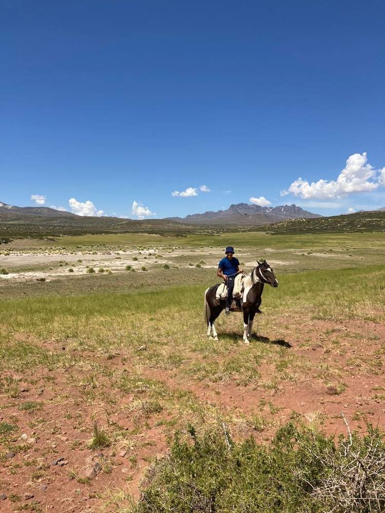 Cabalgata en el campo mendocino
